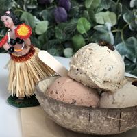 3 scoops ¥700 at Coconut Glen's in Tokyo