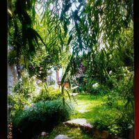 Gorgeous garden at Family Lorenz & Coffee House in Prague