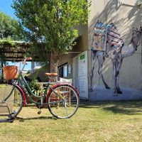  at Deli de las Rosas in Colonia Del Sacramento