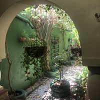 Environment  at Asharam Gad in Fortaleza