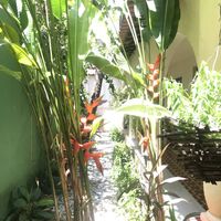 Environment  at Asharam Gad in Fortaleza