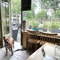 Our rescue dog hostess!  at apeti - Ségur in Paris