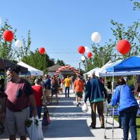 Vendor row at Siloam Springs Farmers Market in Siloam Springs