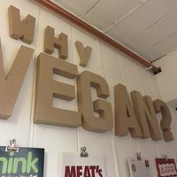 Why Vegan at Fortify Cafe in Maidstone