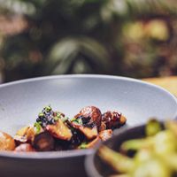 Delicous  at Plantasia in Mexico City
