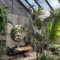 Lovely place with lots of plants at Plantasia in Mexico City