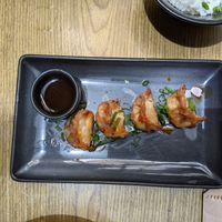  at Plantasia in Mexico City