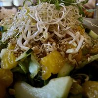 ensalada mandarín   at Plantasia in Mexico City