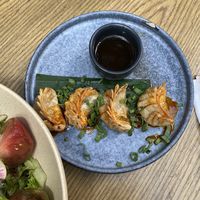 Gyosas  at Plantasia in Mexico City