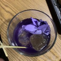   at Plantasia in Mexico City