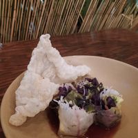  at Plantasia in Mexico City