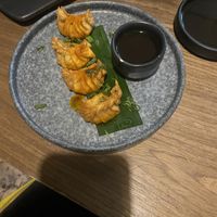   at Plantasia in Mexico City