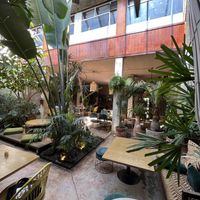   at Plantasia in Mexico City