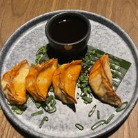 Gyozas  at Plantasia in Mexico City