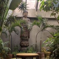   at Plantasia in Mexico City