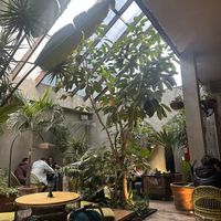 Inside  at Plantasia in Mexico City