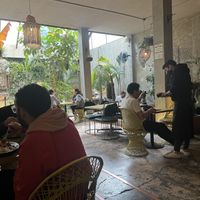   at Plantasia in Mexico City
