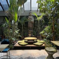   at Plantasia in Mexico City