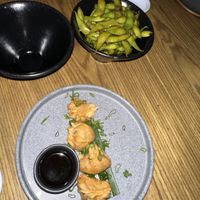   at Plantasia in Mexico City