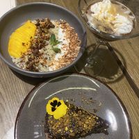   at Plantasia in Mexico City