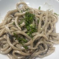   at Plantasia in Mexico City