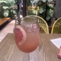   at Plantasia in Mexico City