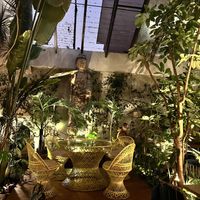   at Plantasia in Mexico City