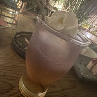  #Veganuary at Plantasia in Mexico City