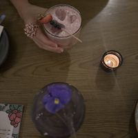   at Plantasia in Mexico City