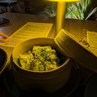  at Plantasia in Mexico City