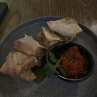   at Plantasia in Mexico City