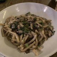   at Plantasia in Mexico City