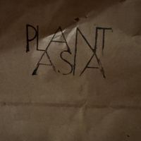 Food delivery 🚚 possible   at Plantasia in Mexico City