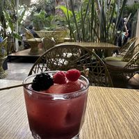   at Plantasia in Mexico City