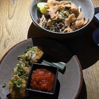   at Plantasia in Mexico City