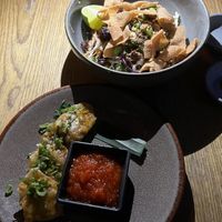   at Plantasia in Mexico City