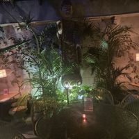  at Plantasia in Mexico City