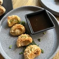 Gyozas (4)  at Plantasia in Mexico City