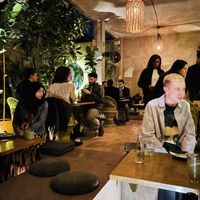 Interior  at Plantasia in Mexico City