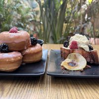   at Plantasia in Mexico City