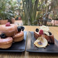   at Plantasia in Mexico City