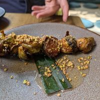  at Plantasia in Mexico City