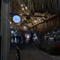   at Plantasia in Mexico City