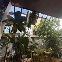   at Plantasia in Mexico City