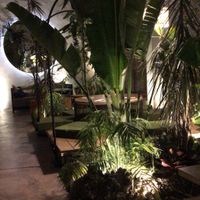 Plantasia interior restaurante  at Plantasia in Mexico City