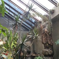 Patio del restaurante  at Plantasia in Mexico City