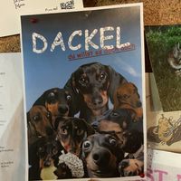  #Veganuary at Törtchenlokal Waldenberger in Rostock