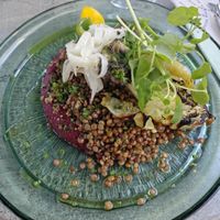 Vegan lentil and quinoa salad with hummus  at Volare in Visby