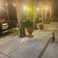  at Casa Mendoza in Three Rivers