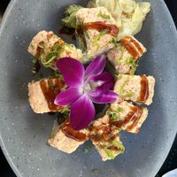 Guardian of the tofu roll - very good - mildly spicy   at Akira Sushi in Aptos